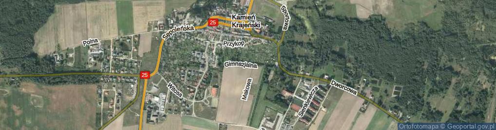 Zdjęcie satelitarne Gimnazjalna ul.